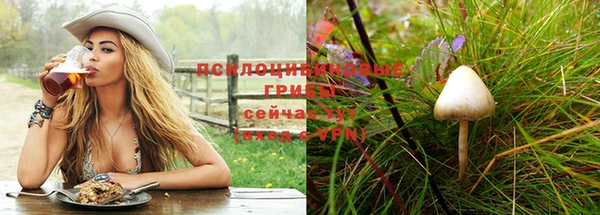 синтетический гашиш Киреевск